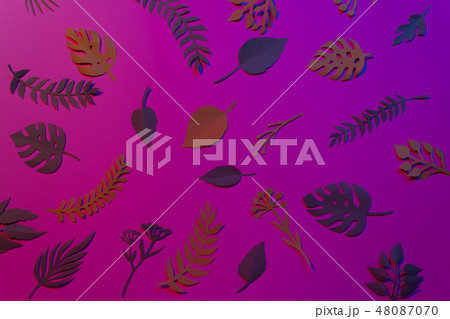 Tropical and palm leaves in vibrant bold gradient  48087070