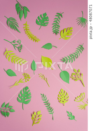 Tropical and palm leaves in vibrant bold  48087071