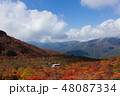 茶臼岳姥ヶ平紅葉 48087334