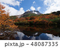 茶臼岳姥ヶ平紅葉 48087335