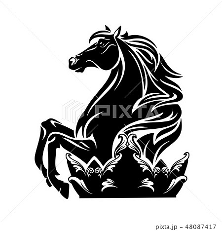 royal horse and crown black vector silhouette 48087417