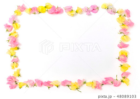 花のフレーム　Beautiful flowers of the frame 48089103