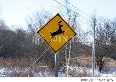 道路標識　動物注意 48091875