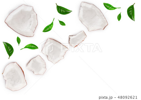 piece of coconut with leaves isolated on white background with copy space for your text. Top view 48092621