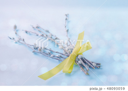 Pastel Easter background with pussy willow 48093059