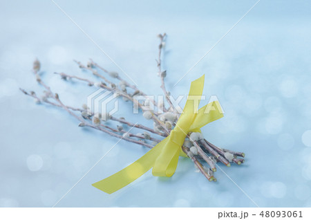 Pastel Easter background with pussy willow 48093061