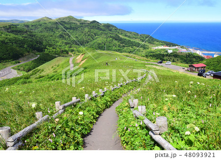 礼文島　桃岩展望台 48093921