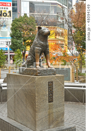 渋谷散歩:忠犬ハチ公 渋谷散歩:忠犬ハチ公 48094149