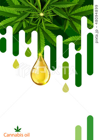 Marijuana Plant And Cannabis Oil Bottles Vector のイラスト素材