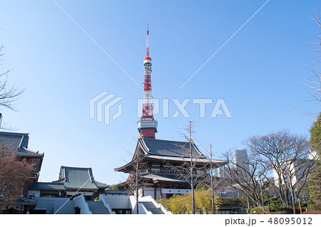 東京都　港区　増上寺（ぞうじょうじ）　大殿（本堂） 48095012