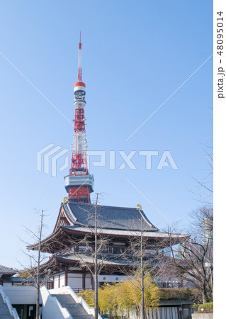 東京都　港区　増上寺（ぞうじょうじ）　大殿（本堂） 48095014