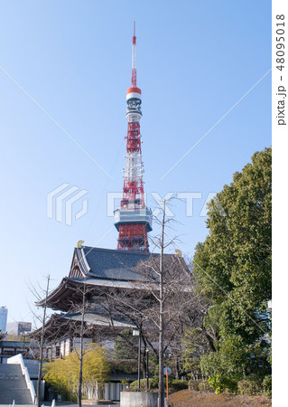東京都　港区　増上寺（ぞうじょうじ）　大殿（本堂） 48095018