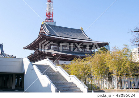 東京都　港区　増上寺（ぞうじょうじ）　大殿（本堂） 48095024