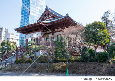 東京都　港区　増上寺　慈雲閣（じうんかく）（開山堂） 48095025