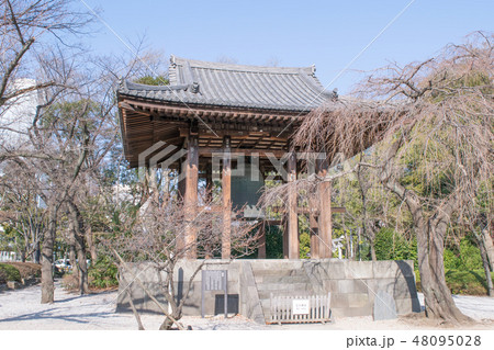 東京都　港区　増上寺　鐘楼堂 48095028