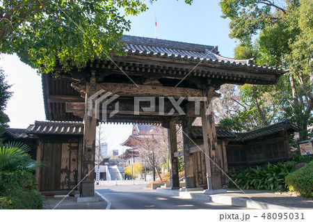 東京都 港区 増上寺 黒門 東京都 港区 増上寺 黒門 48095031