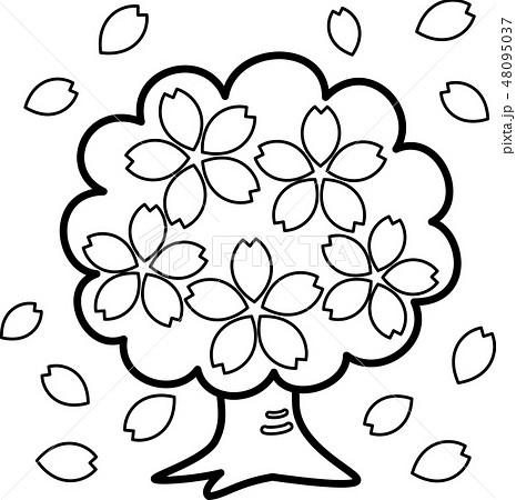 桜木 満開 花吹雪 ぬり絵のイラスト素材 48095037 Pixta
