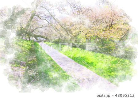 桜の風景 水彩画風のイラスト素材 48095312 Pixta