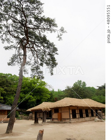 民俗村 丸屋 秒 48095551