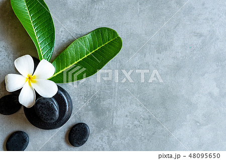 Thai Spa. Top view of white Plumeria flower Thai Spa. Top view of white Plumeria flower 48095650