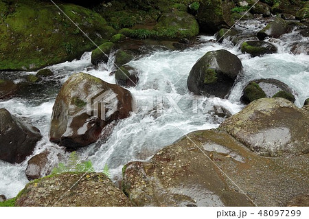 河津七滝巡り 初景滝渓流 48097299