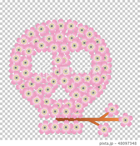 Cherry blossoms and squirrel (skull) Cherry blossoms and squirrel (skull) 48097348