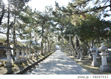 【滋賀県　長浜市】長浜八幡宮の参道 48097431