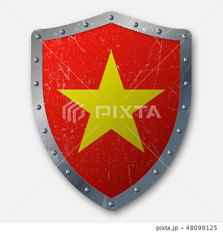 Old Shield with Flag 48099125
