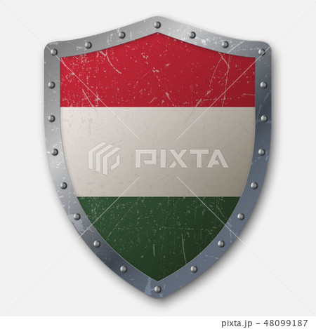 Old Shield with Flag Old Shield with Flag 48099187