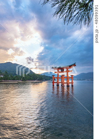 厳島神社大鳥居の夕景 48099391