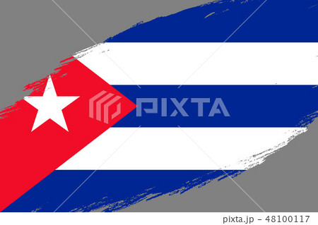 Grunge styled flag 48100117