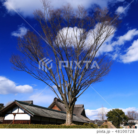栃木の風景 青空と雲と冬の足利学校 栃木の風景 青空と雲と冬の足利学校 48100728