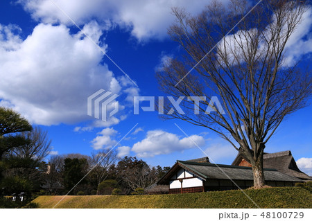 栃木の風景　青空と雲と冬の足利学校 48100729