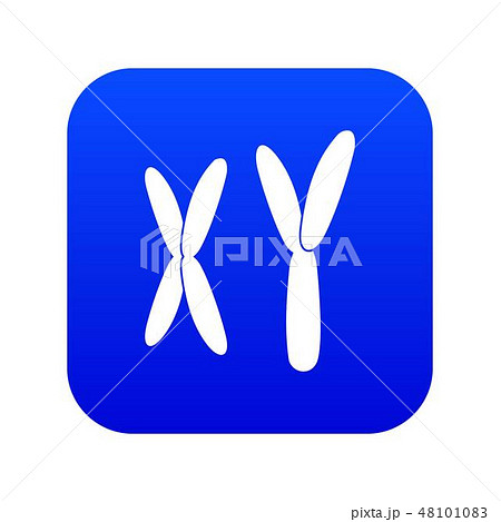 Human chromosomes icon digital blue 48101083