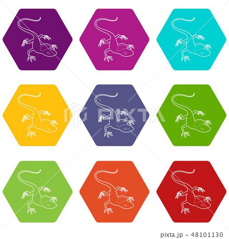 Little lizard icons set 9 vector 48101130
