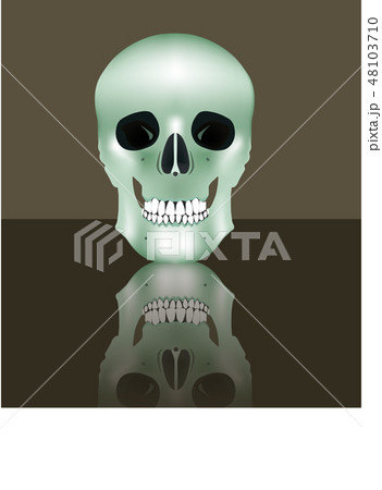 Human realistic skull in full face. Vector illustration 48103710