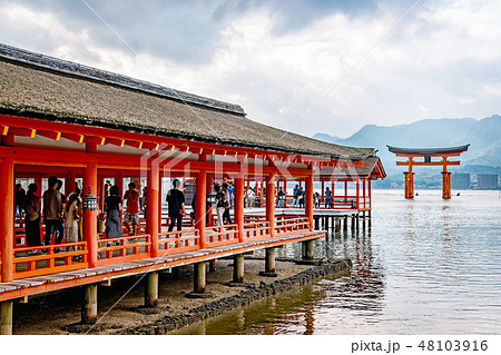 厳島神社の回廊風景 48103916