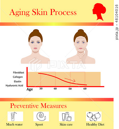 Aging skin process and preventive tipps, vector illustration Aging skin process and preventive tipps, vector illustration 48104016