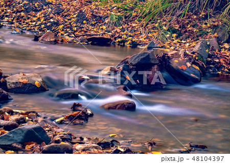 Autumn in the Russian forest. Far Eastern river. 48104397