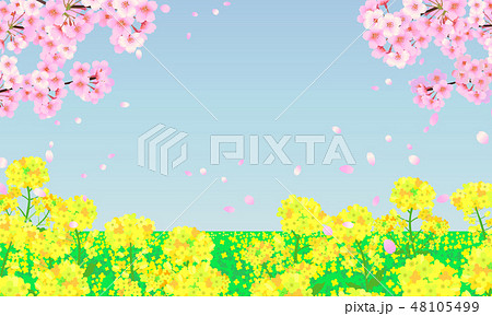 菜の花畑と桜のイラスト素材