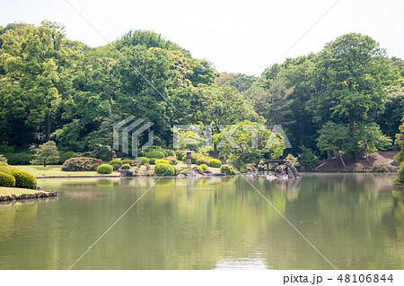 東京都　文京区　六義園（りくぎえん）　初夏 48106844