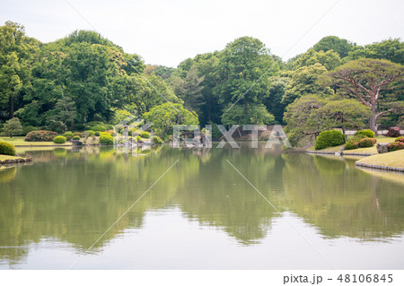 東京都 文京区 六義園(りくぎえん) 初夏 東京都 文京区 六義園(りくぎえん) 初夏 48106845
