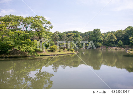 東京都 文京区 六義園(りくぎえん) 初夏 東京都 文京区 六義園(りくぎえん) 初夏 48106847