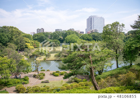 東京都 文京区 六義園(りくぎえん) 初夏 東京都 文京区 六義園(りくぎえん) 初夏 48106855