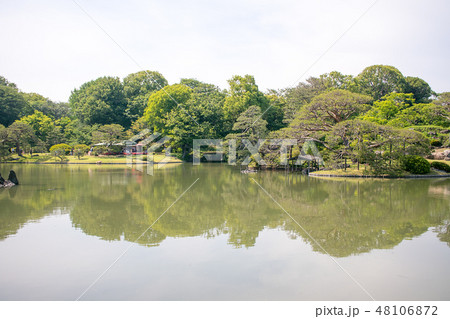 東京都 文京区 六義園(りくぎえん) 初夏 東京都 文京区 六義園(りくぎえん) 初夏 48106872
