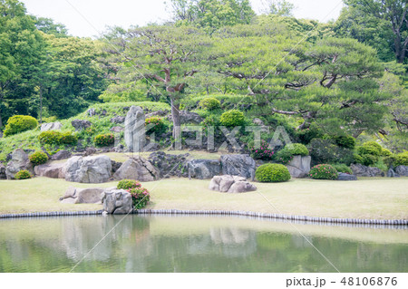 東京都 文京区 六義園(りくぎえん) 初夏 東京都 文京区 六義園(りくぎえん) 初夏 48106876