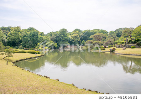 東京都　文京区　六義園（りくぎえん）　初夏 48106881