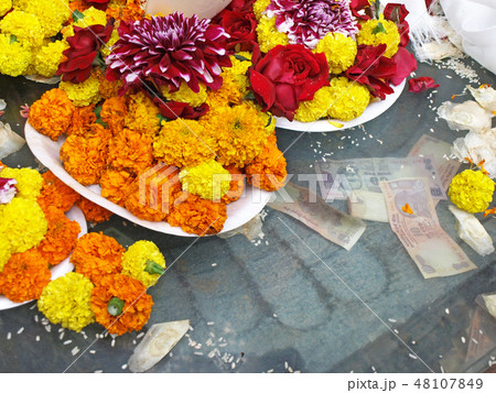 マリーゴールドをお供え 48107849