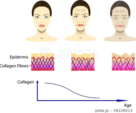 Vector illustration with aging process Vector illustration with aging process 48108013