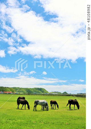 北海道 青空と牧場の風景の写真素材 4810